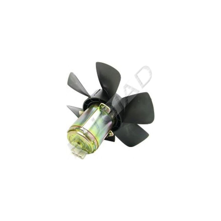 BUGIAD Bsp22169 Fan, Radiator