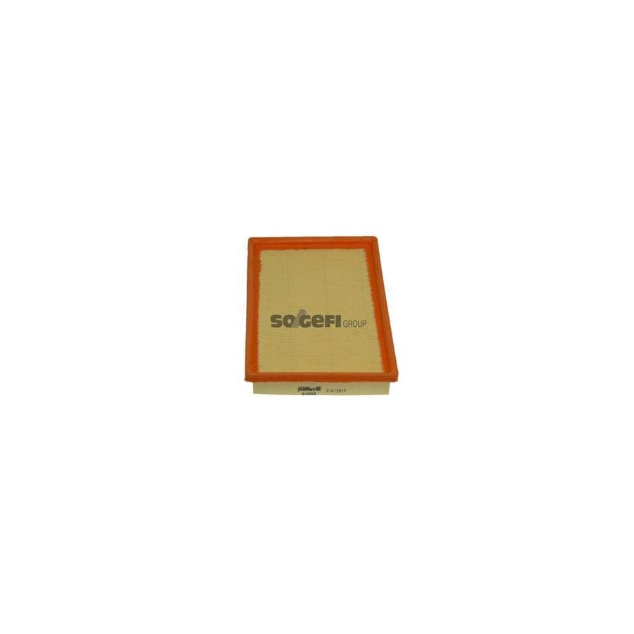 Purflux A303A Air Filter