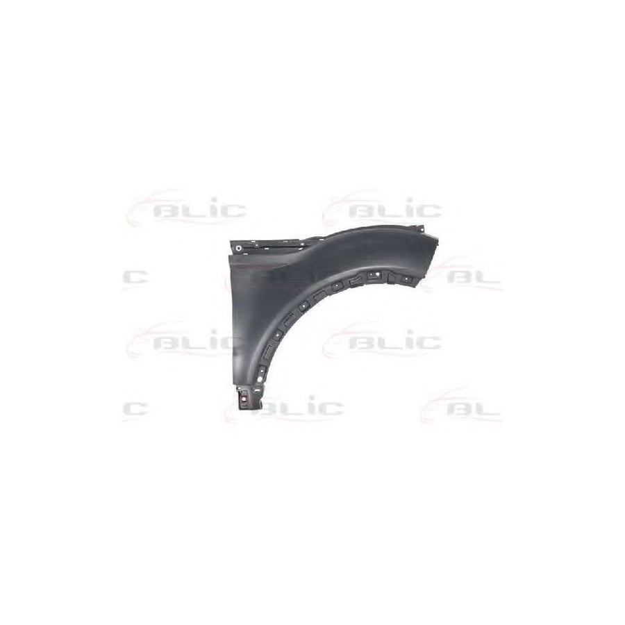 Blic 6504-04-6456312P Wing Fender For Land Rover Range Rover Evoque (L538)
