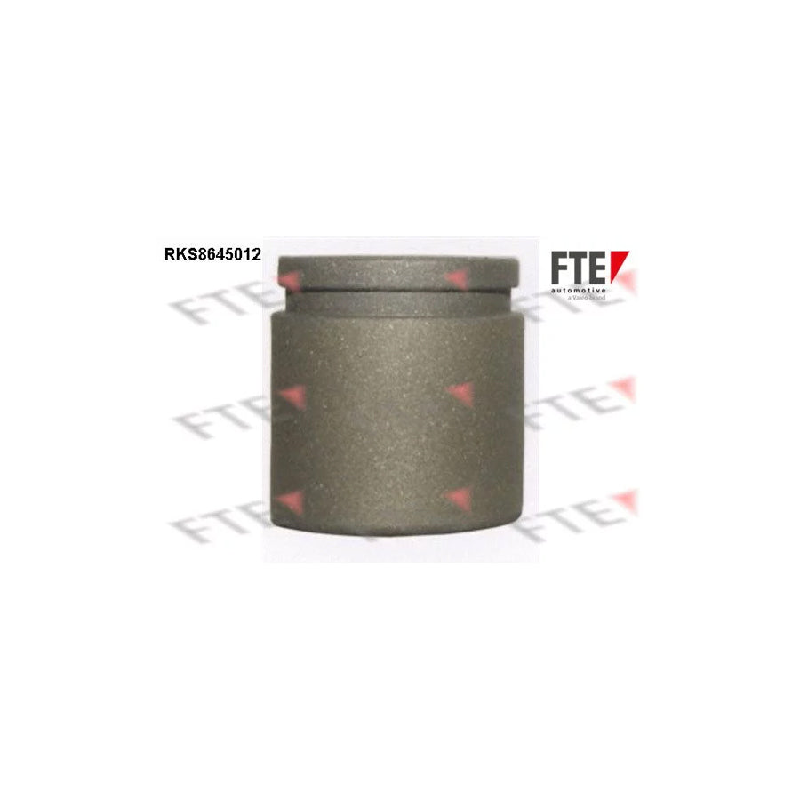 FTE 9313388 Piston, Brake Caliper