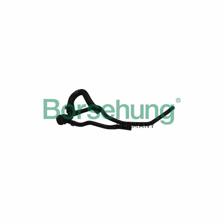 Borsehung B19180 Radiator Hose