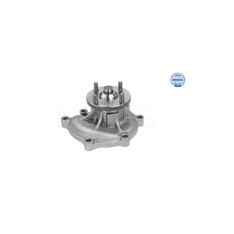 Meyle 37-13 220 0010 Water Pump For Hyundai Terracan (Hp)
