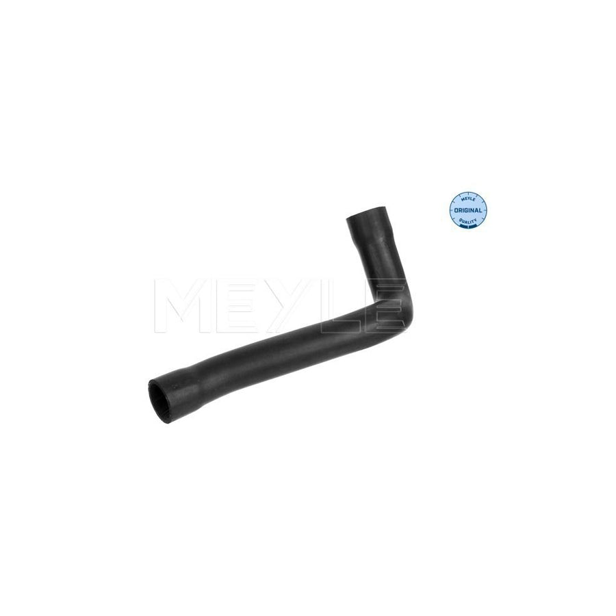 Meyle 35-14 323 0004 Fuel Filter