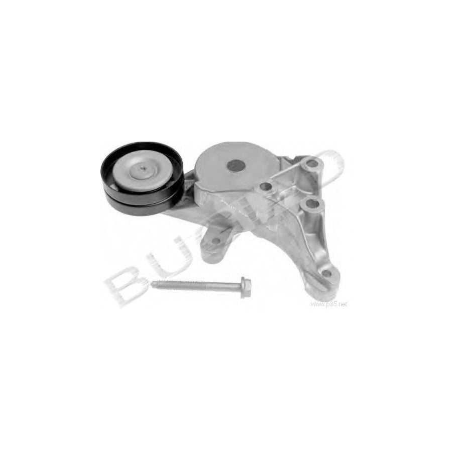 BUGIAD Bsp22203 Tensioner Lever, V-Ribbed Belt