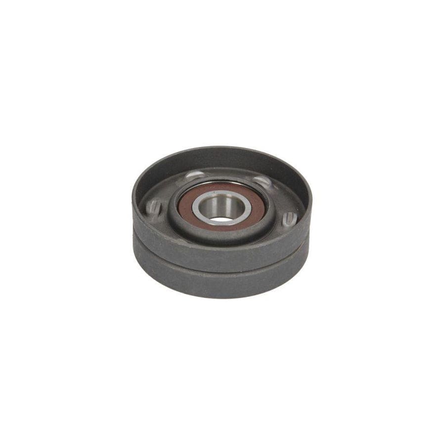 BTA E2W5738BTA Tensioner Lever, V-Ribbed Belt