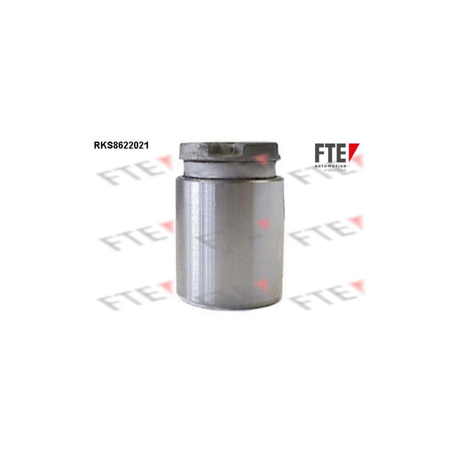 FTE Rks8622021 Piston, Brake Caliper