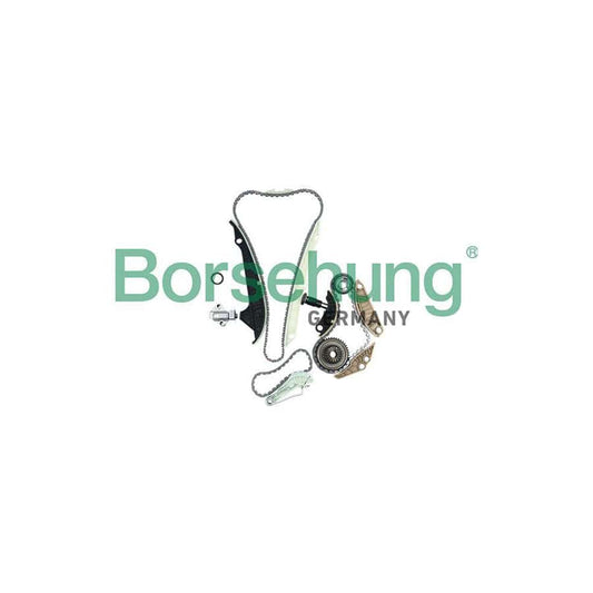 Borsehung B19209 Timing Chain Kit