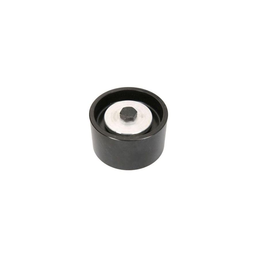 BTA B05-Ag-072 Tensioner Pulley