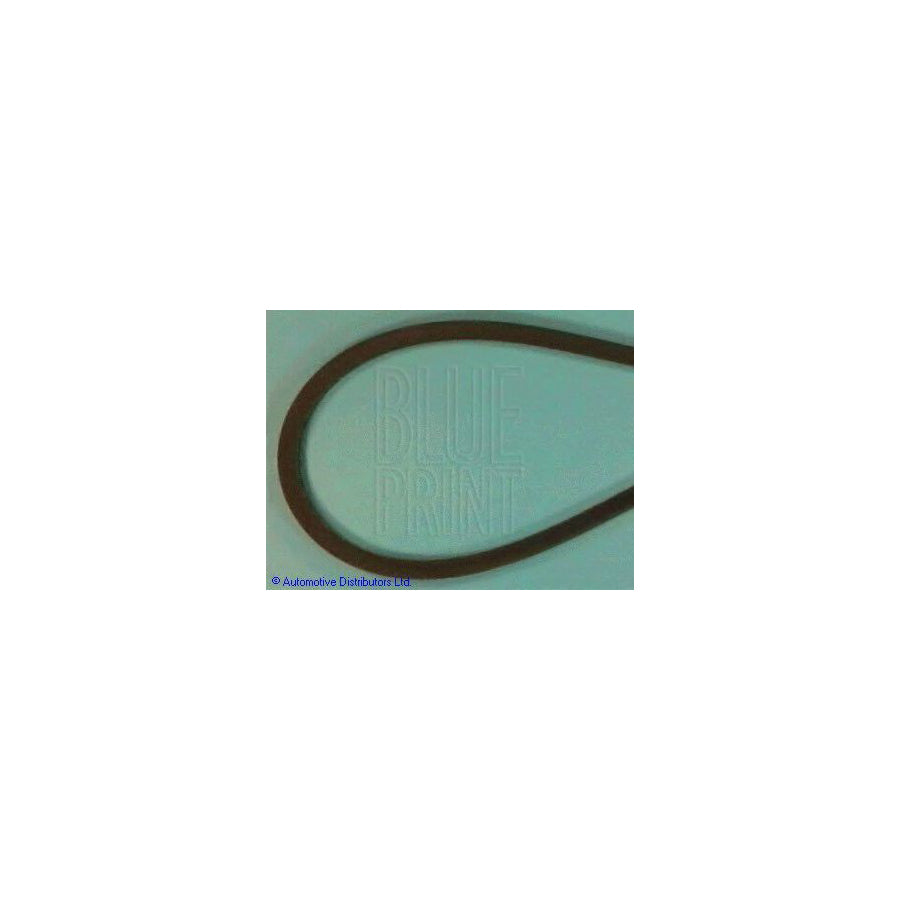 Blue Print Adt39617 V-Ribbed Belt