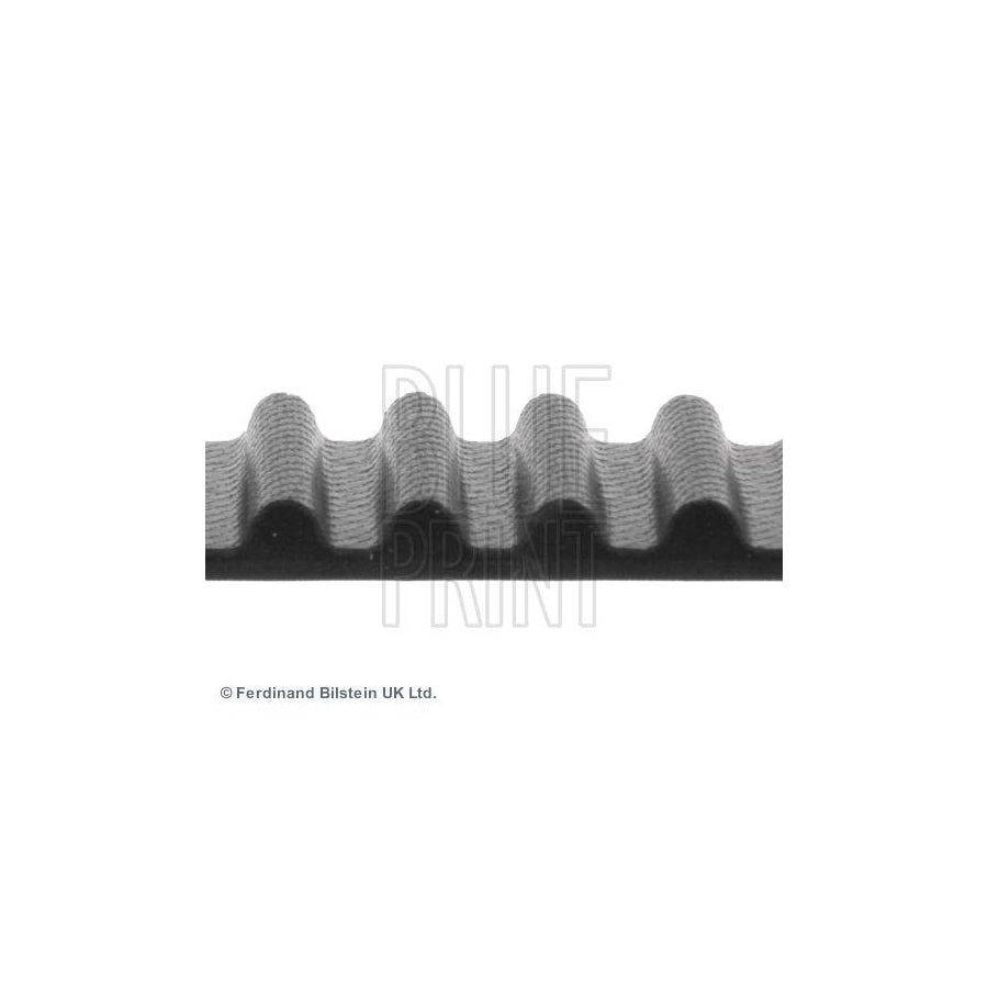 Blue Print Adn17516 Timing Belt
