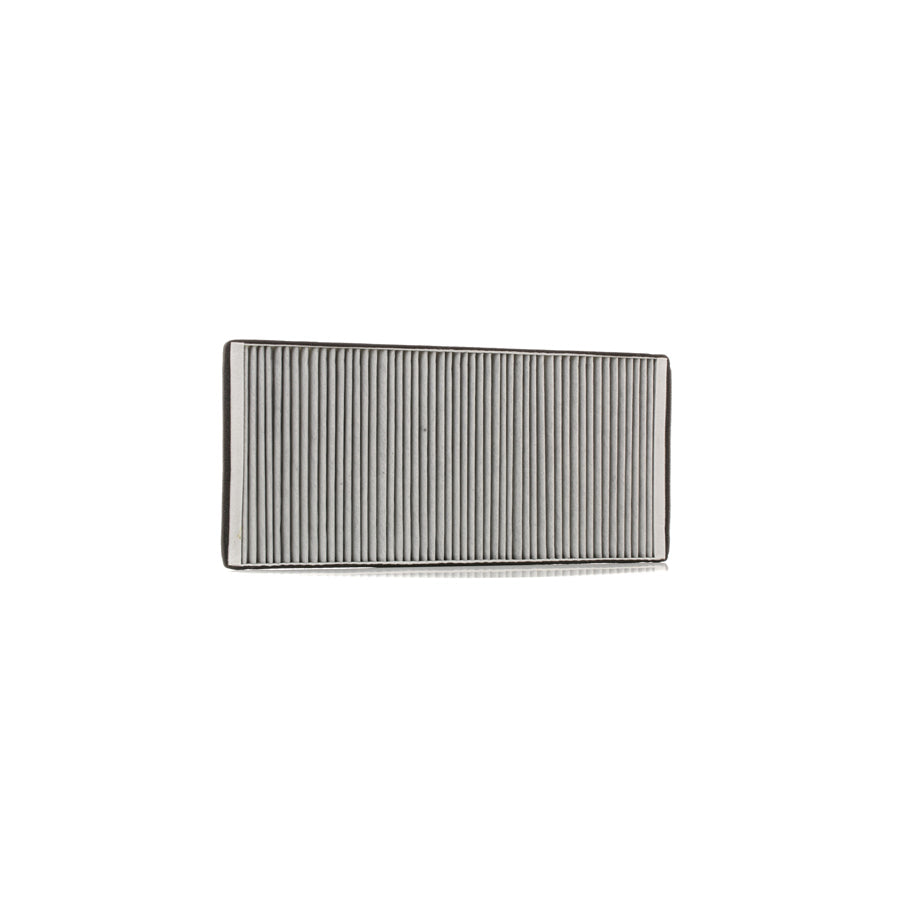 Master Sport 5366-IF-PCS-MS Pollen Filter
