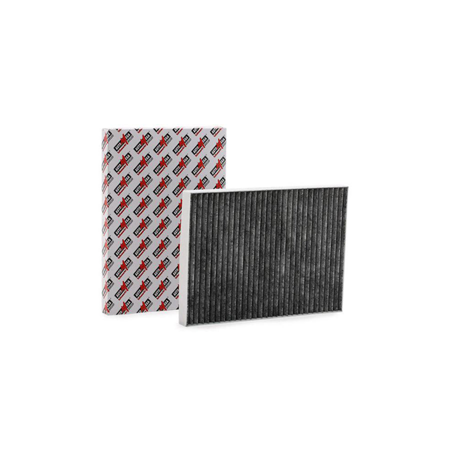 AUTOMEGA 180003810 Pollen Filter For Renault Koleos I (Hy)