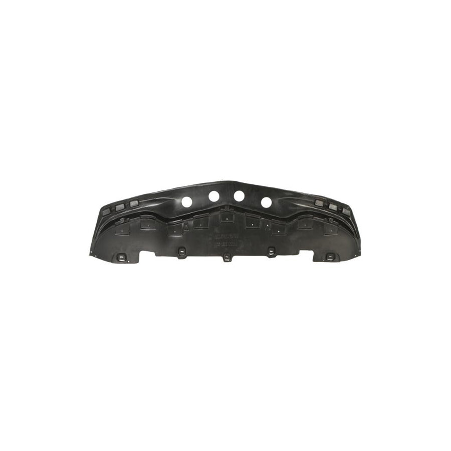 Blic 6601-02-3508881P Skid Plate Suitable For Mercedes-Benz B-Class (W245)