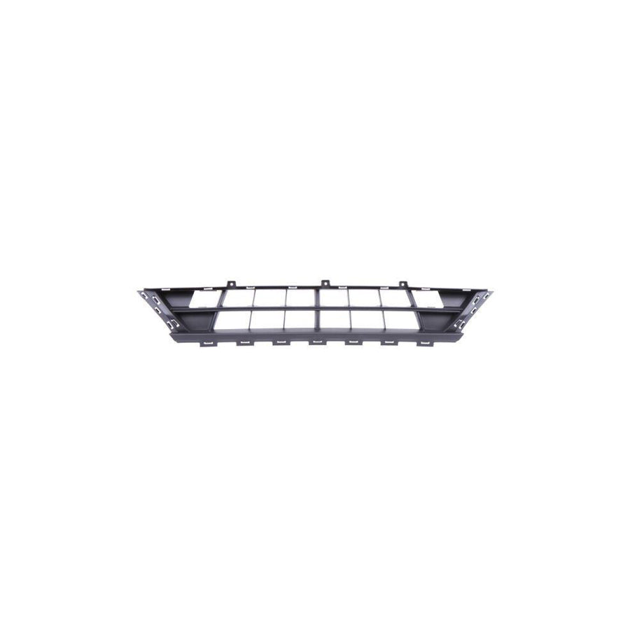 Blic 6502-07-2512995Q Bumper Grill