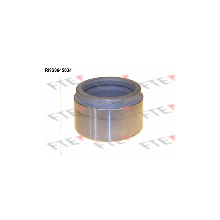 FTE 9313408 Piston, Brake Caliper