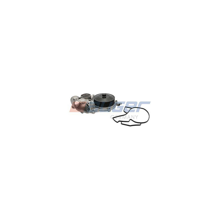 Auger 110126 Water Pump