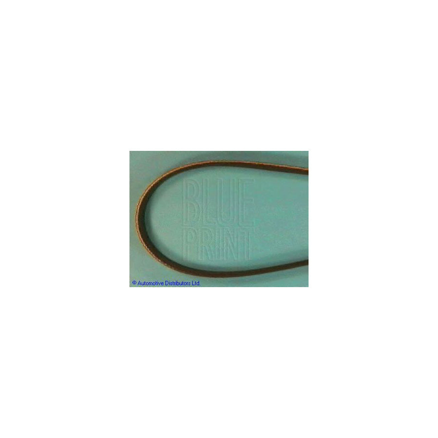 Blue Print Adt39612 V-Ribbed Belt