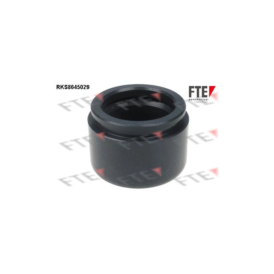 FTE 9313404 Piston, Brake Caliper for Toyota Land Cruiser
