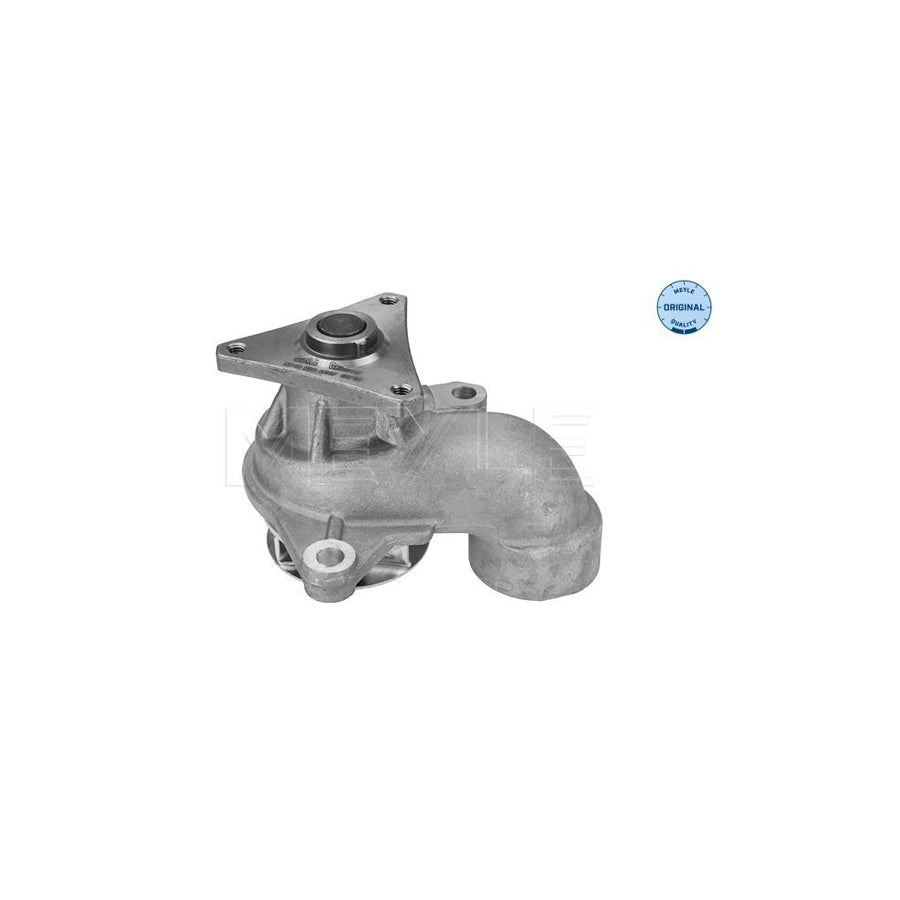 Meyle 40-40 910 0009 Tailgate Strut For CitroÃ«n Xantia