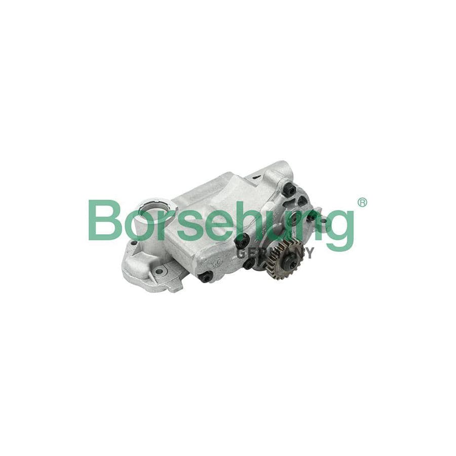 Borsehung B12698 Oil Pump
