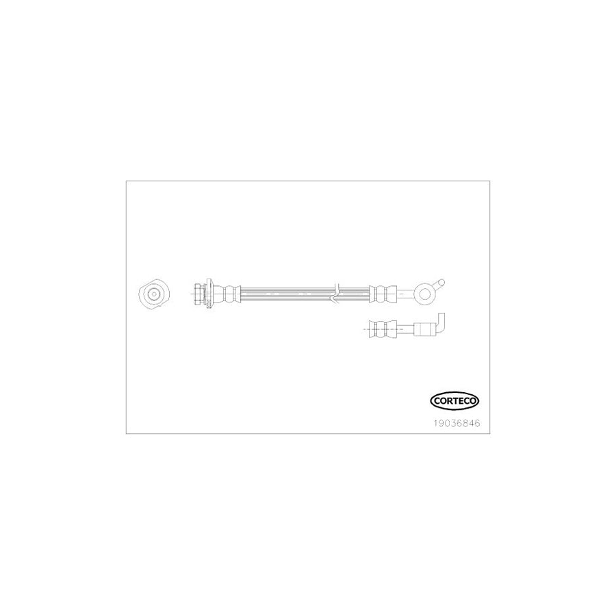 Corteco 19036846 Brake Hose