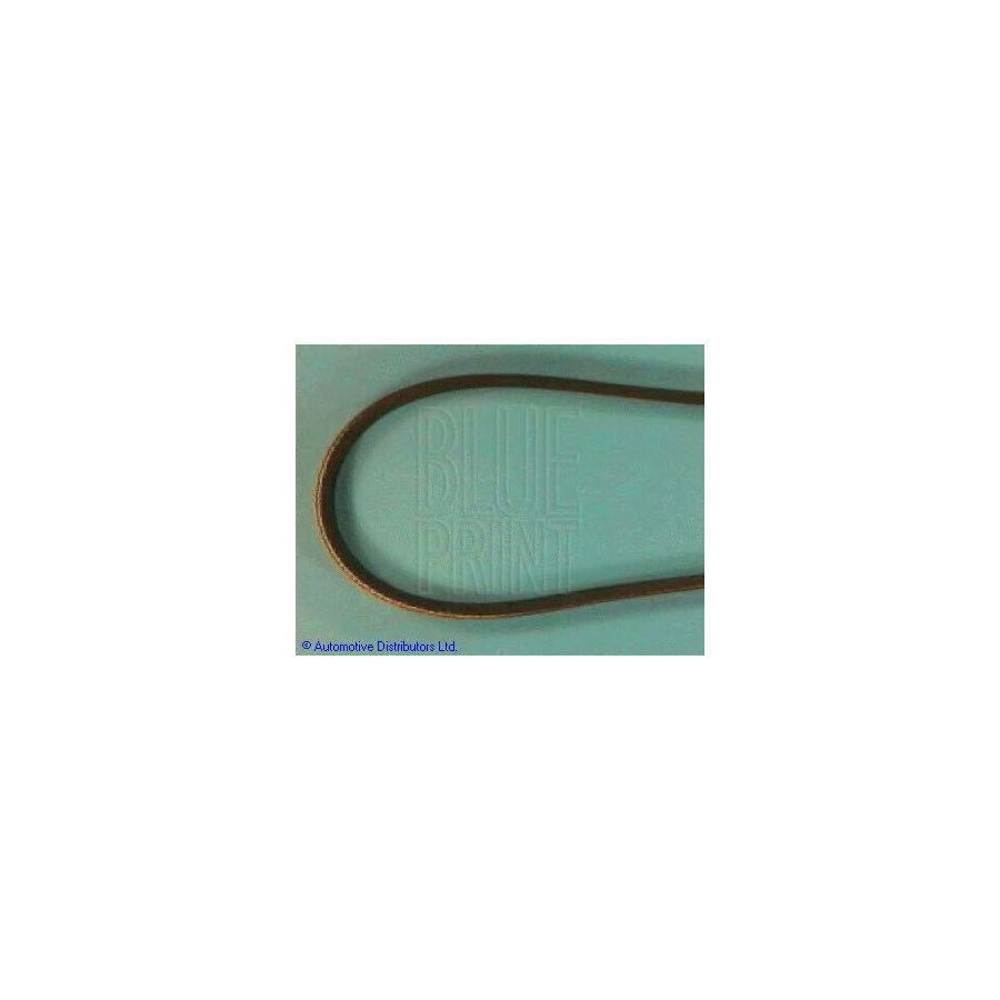 Blue Print Adt39610 V-Ribbed Belt