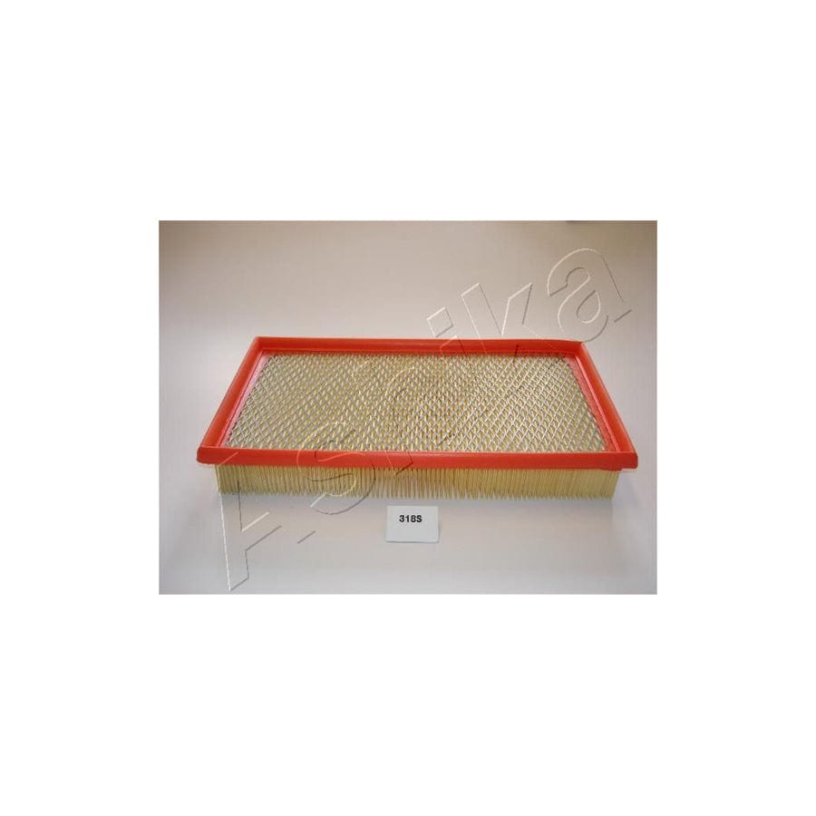 Ashika 20-03-318 Air Filter