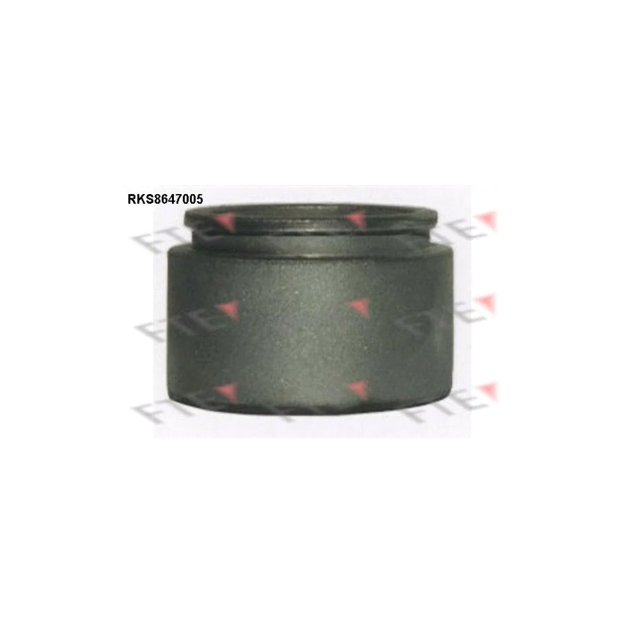 FTE 9313429 Piston, Brake Caliper