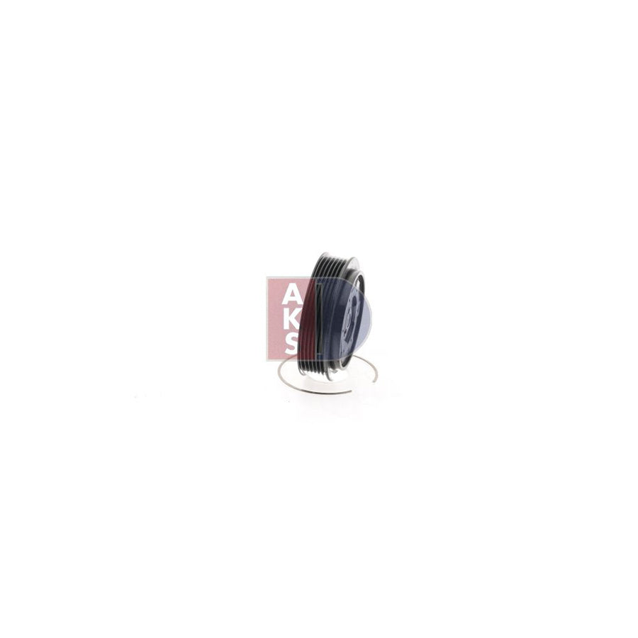 AKS Dasis 900345N Seal Ring
