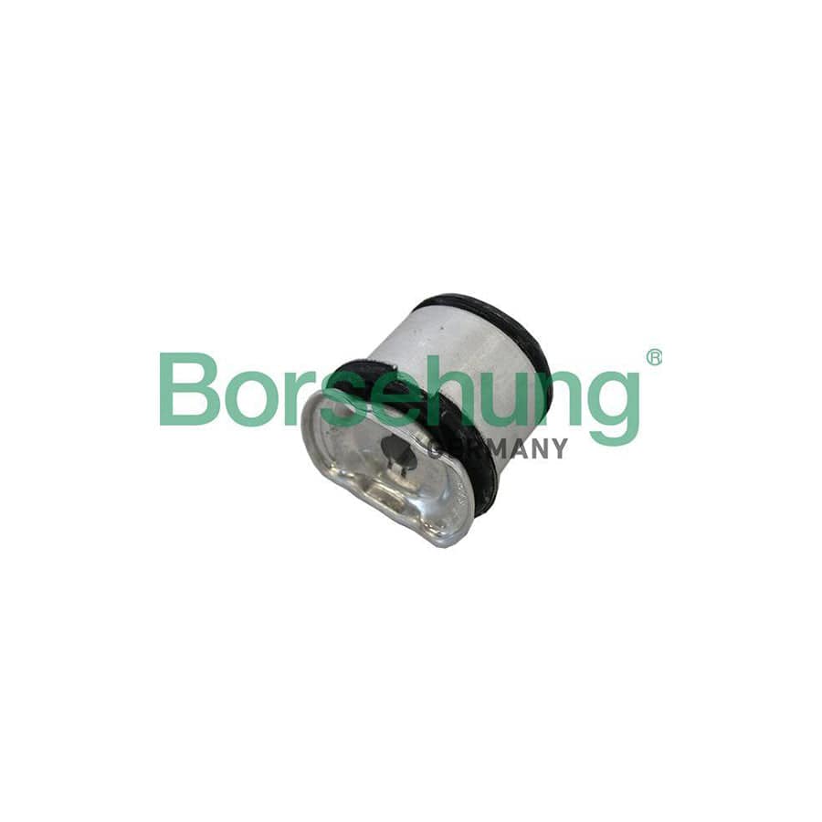 Borsehung B19197 Axle Bush For Audi A4