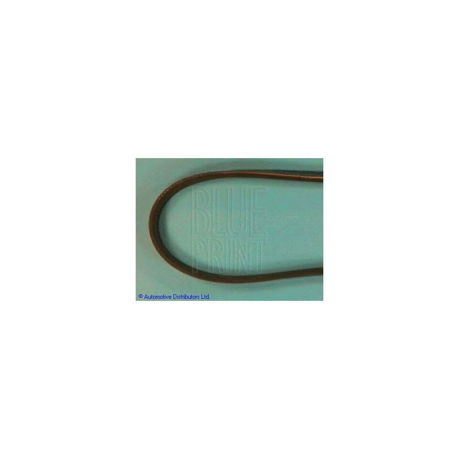Blue Print Adt39607 V-Ribbed Belt for Mazda Rx-8 (Se, Fe)