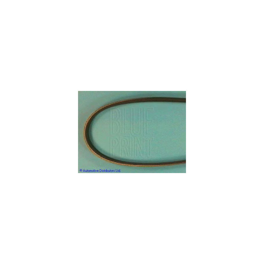 Blue Print Adt39606 V-Ribbed Belt