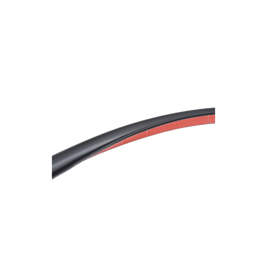 Genuine BMW 51767179104 F02 F04 F03 Door Weatherstrip Rear (Inc. 750LdX, 750LiS & 740LdX) | ML Performance US Car Parts