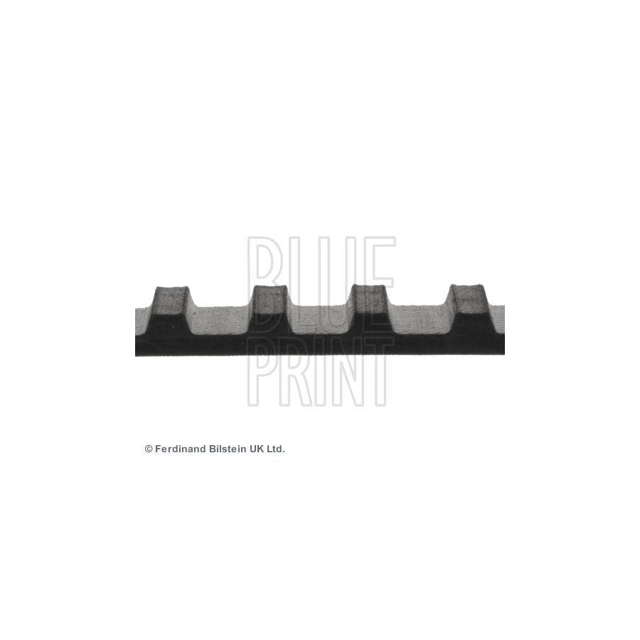 Blue Print Adn17505 Timing Belt