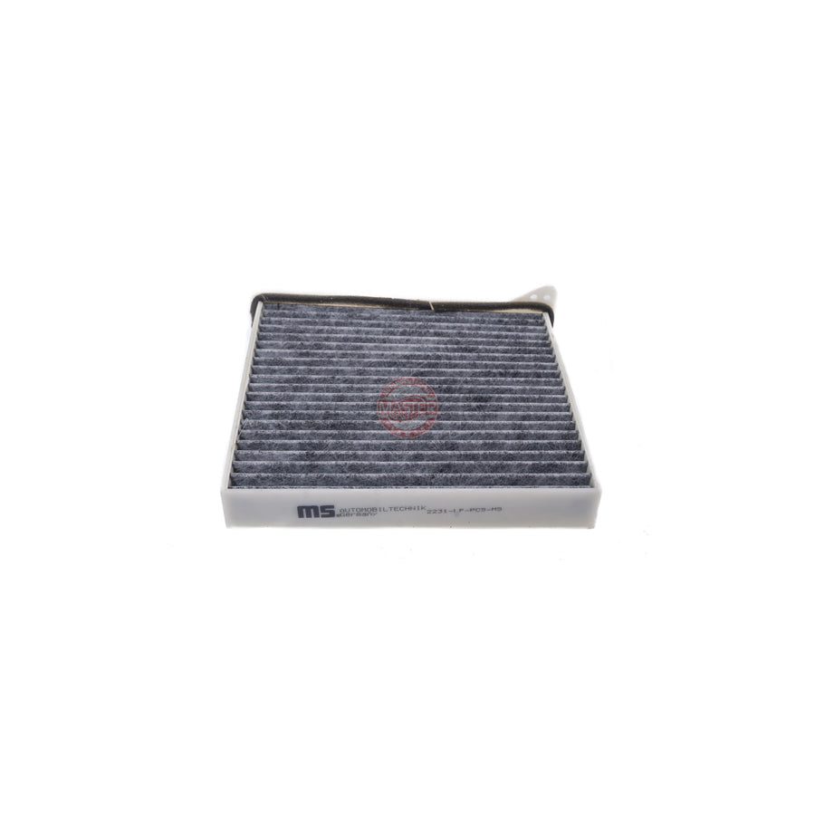 Master Sport 2231-IF-PCS-MS Pollen Filter