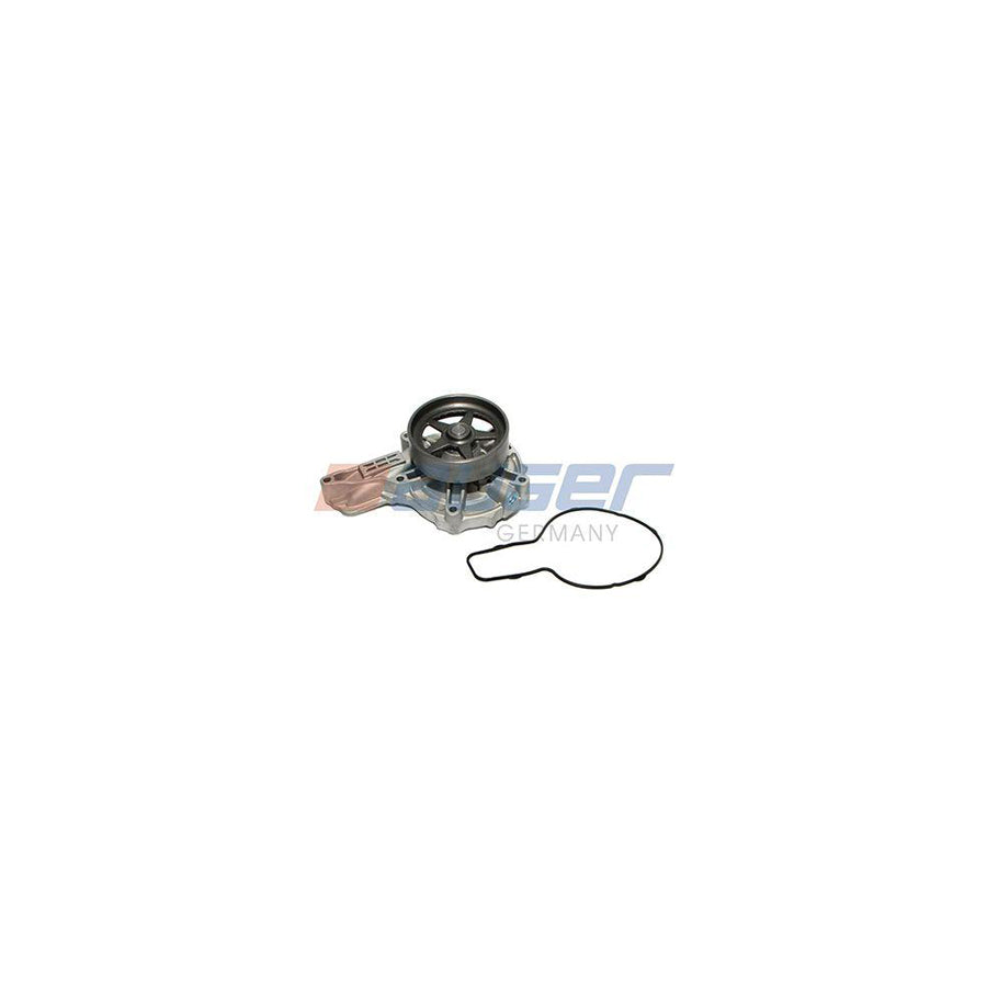 Auger 79799 Water Pump