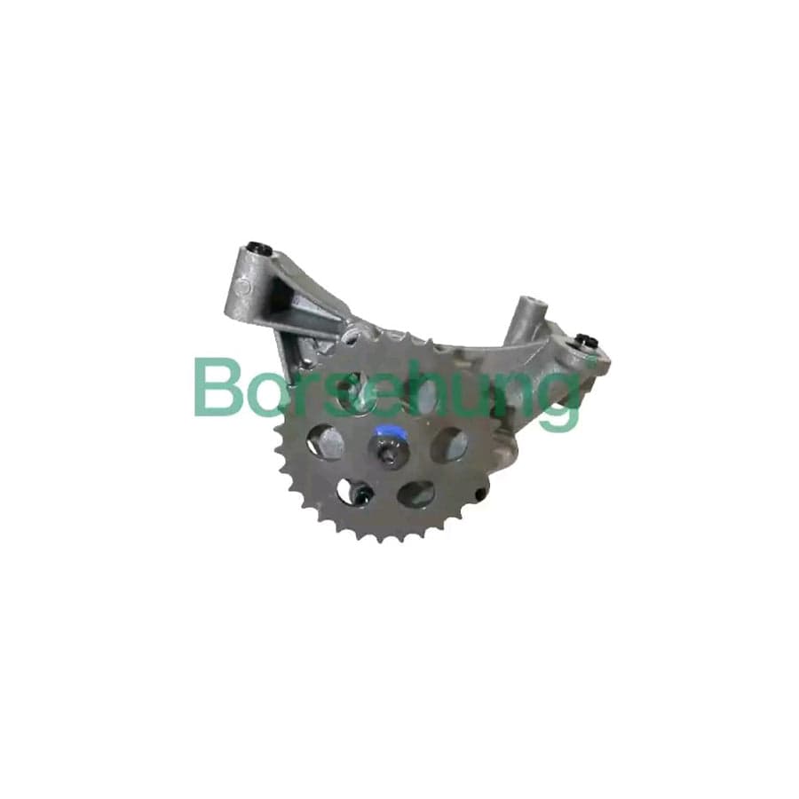 Borsehung B12689 Oil Pump
