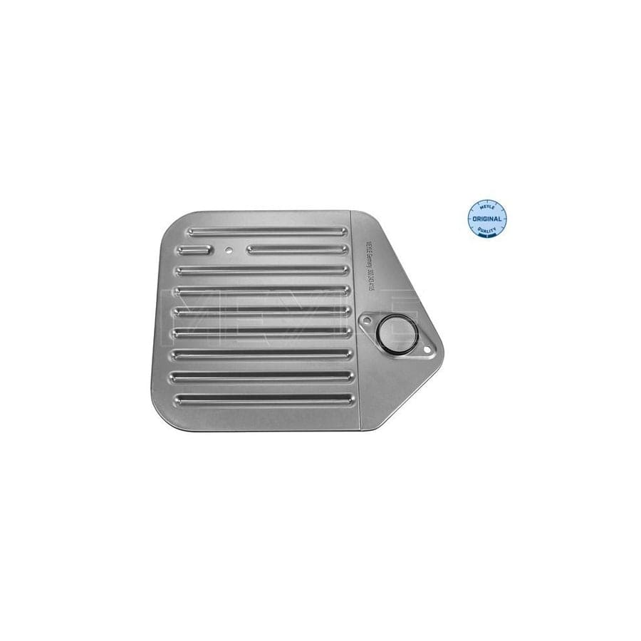 Meyle 300 243 4105 Hydraulic Filter, Automatic Transmission