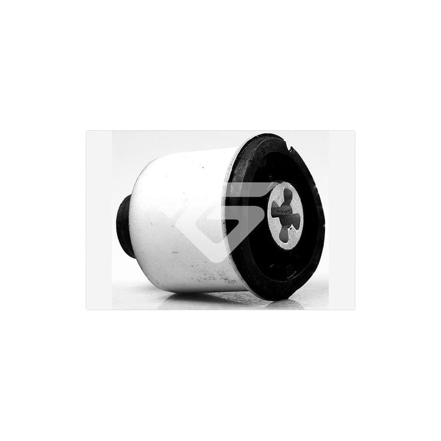 Hutchinson 590155 Axle Bush