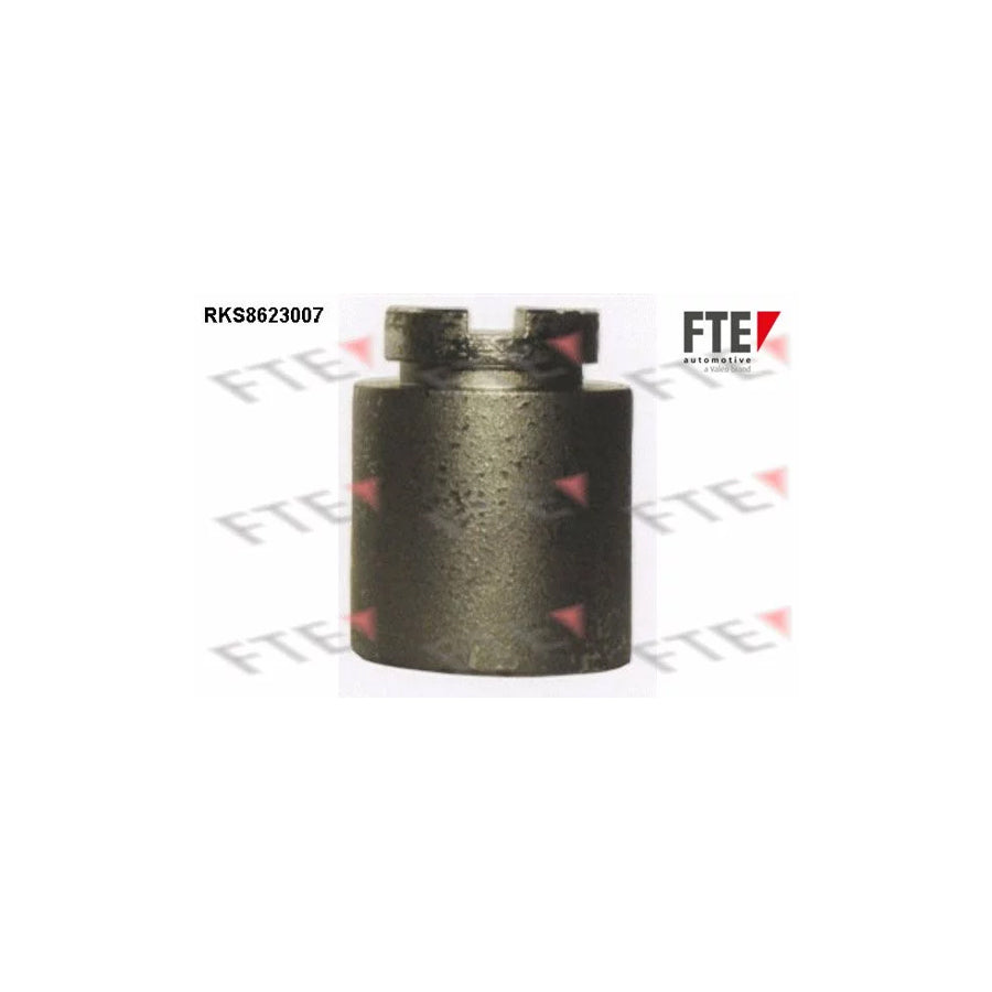 FTE Rks8623007 Piston, Brake Caliper