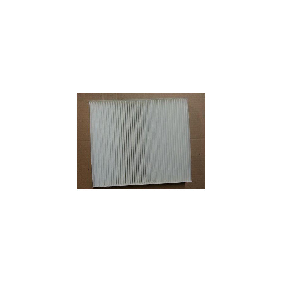 BUGIAD Bsp20665 Pollen Filter