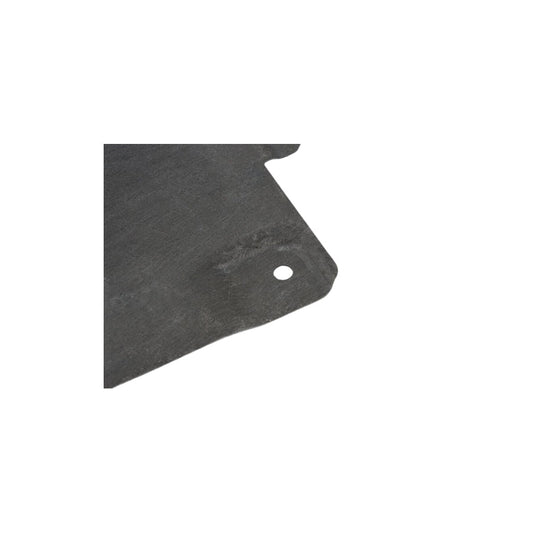 Genuine BMW 51757441886 G29 Underfloor Coating Center (Inc. Z4 30i, Z4 M40i & Z4 20i) | ML Performance US