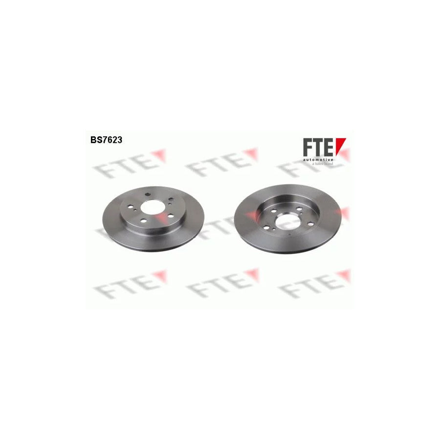 FTE 9072289 Brake Disc