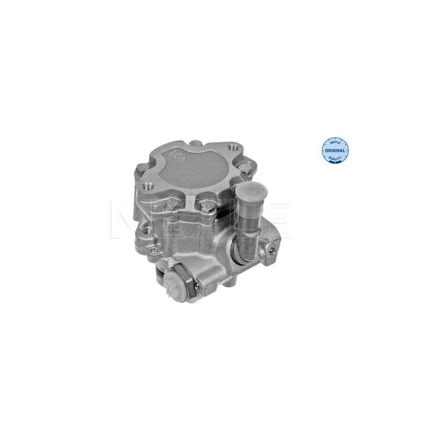 Meyle 114 631 0009 Power Steering Pump