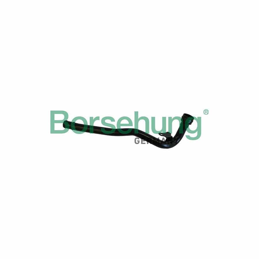 Borsehung B19220 Coolant Tube