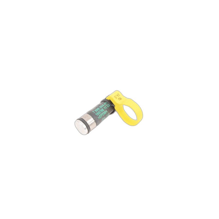 Genuine BMW 17127598004 E70 E72 Cap (Inc. X5 3.0si & Hybrid X6) | ML Performance US Car Parts