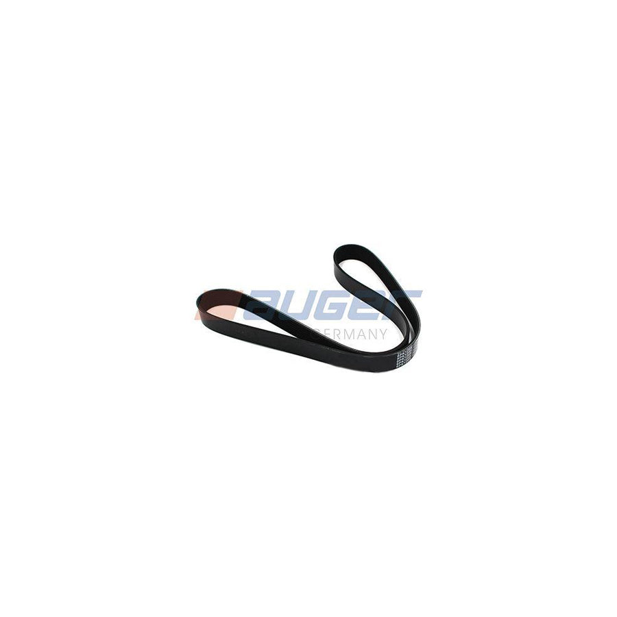 Auger 79910 V-Ribbed Belt