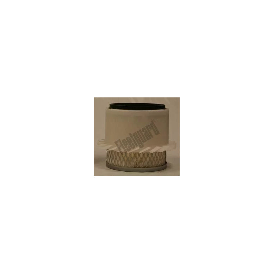 Fleetguard Af25373K Air Filter