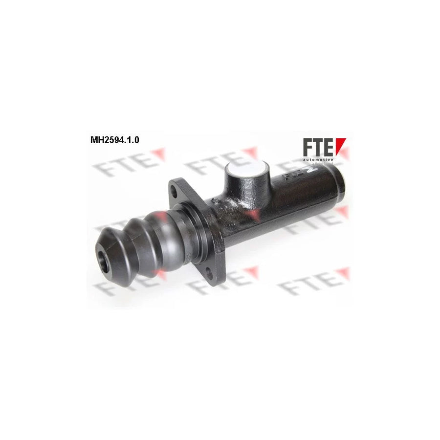 FTE 9722133 Brake Master Cylinder