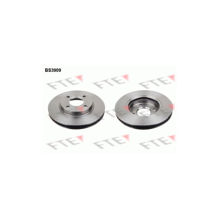 FTE Bs3909 Brake Disc
